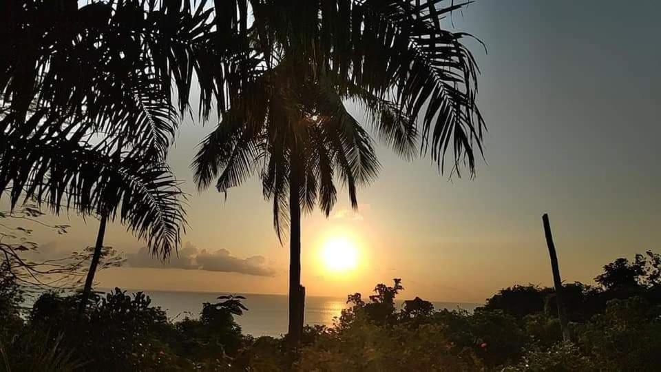 Sairee View Resort タオ島 エクステリア 写真